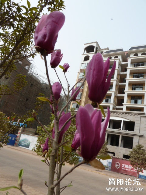 P1090693.JPG