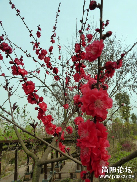 P1090698_副本.jpg