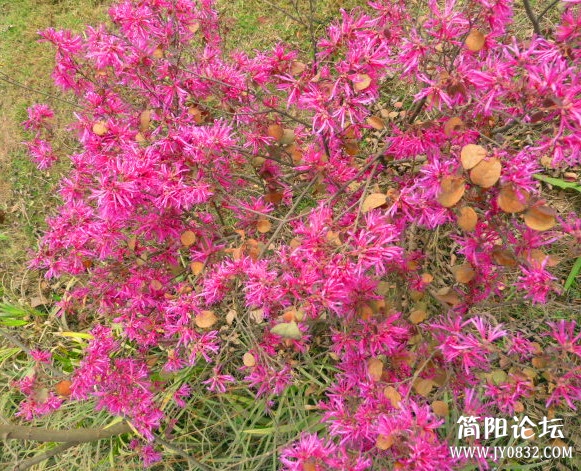 P1090701_副本.jpg