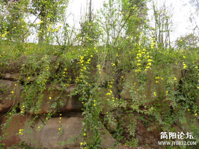 P1090706_副本.jpg