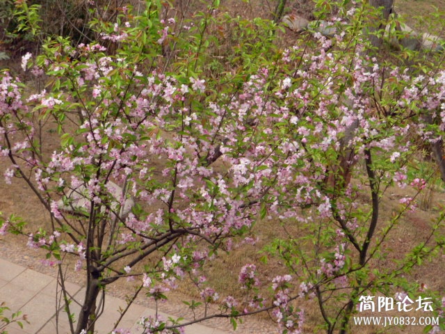 P1090708_副本.jpg