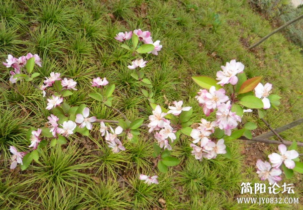 P1090710_副本.jpg