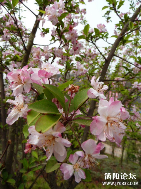 P1090712_副本.jpg