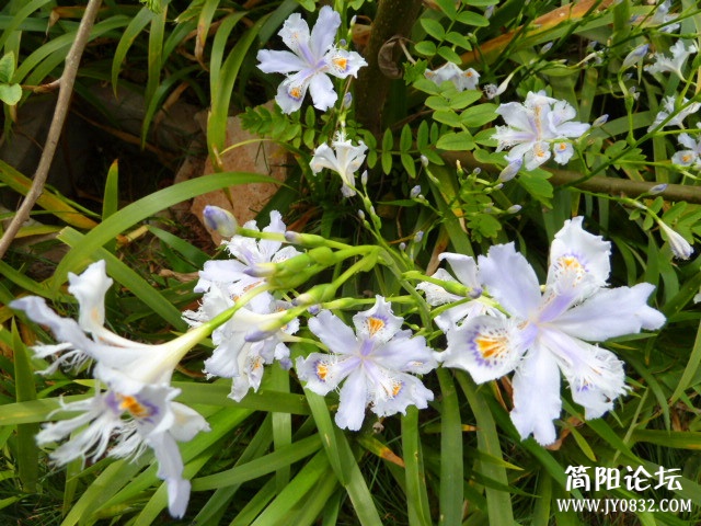 P1090716_副本.jpg