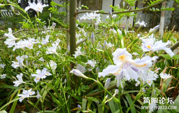 P1090717_副本.jpg
