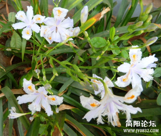 P1090718_副本.jpg