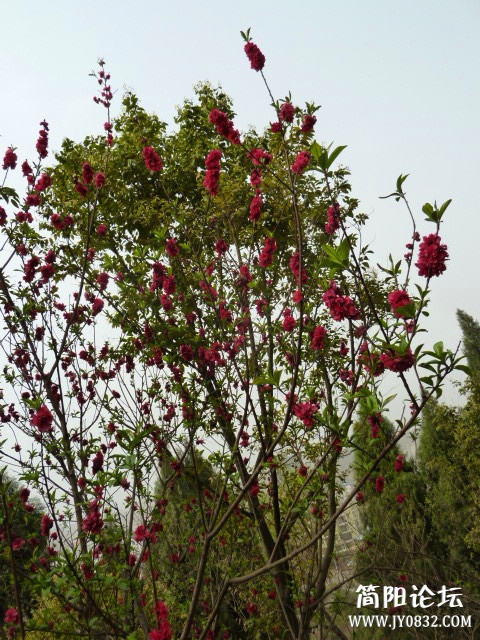 P1090719_副本.jpg