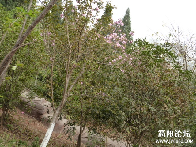 P1090727.JPG