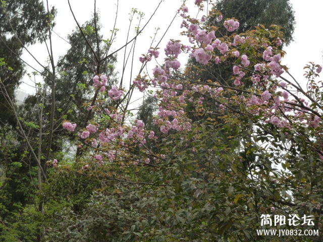 P1090732.JPG
