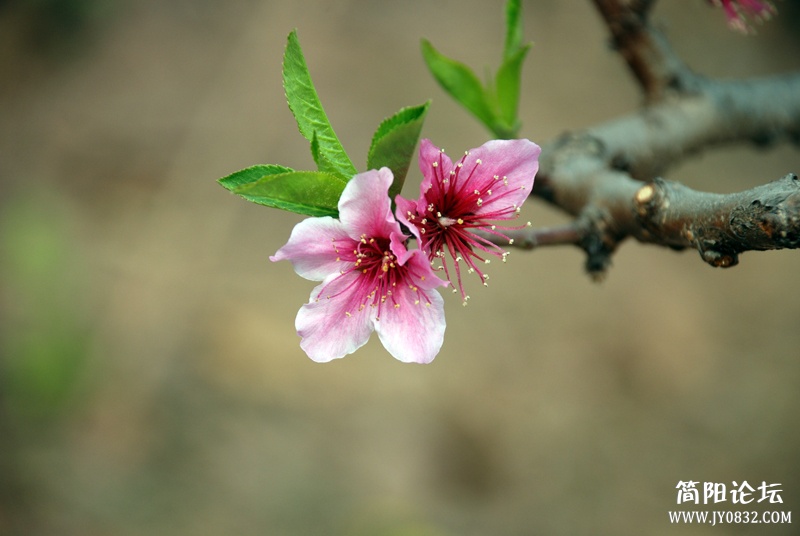 DSC_9149.JPG