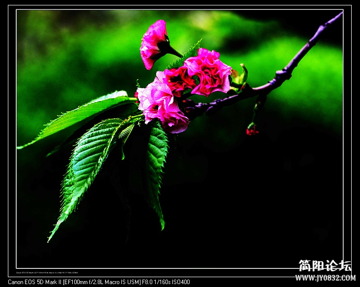 nEO_IMG_IMG_2425.jpg