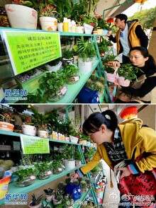 IMG20130321235909.jpg