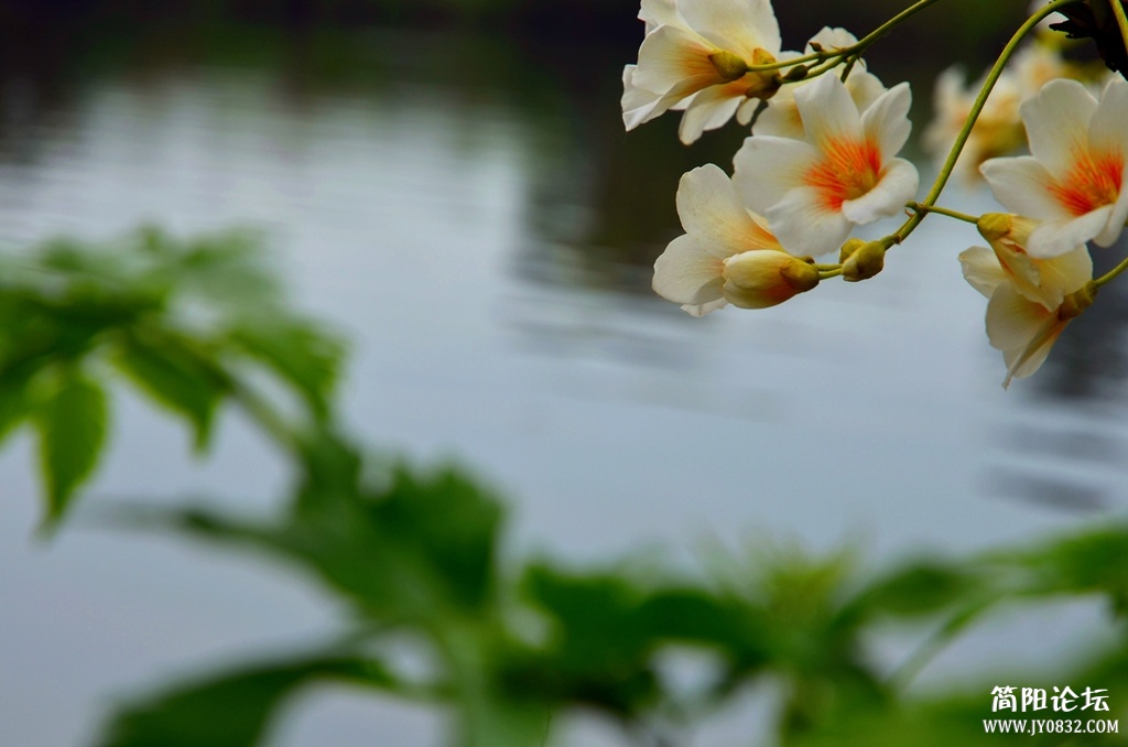 dsc_0518_副本.jpg