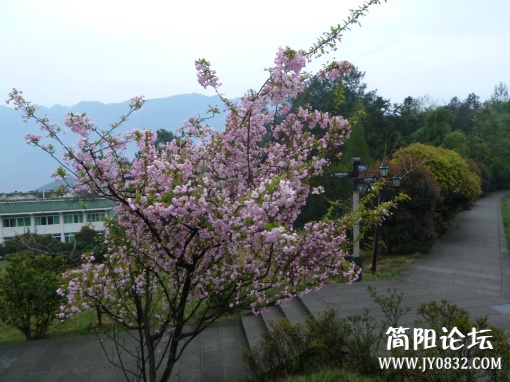 P1090752.jpg