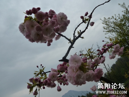 P1090761.jpg