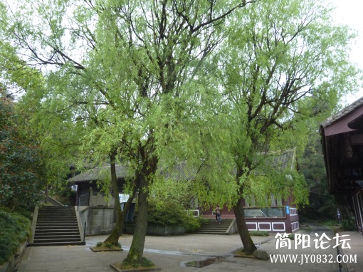 P1090789.jpg