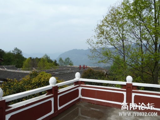 P1090816.jpg