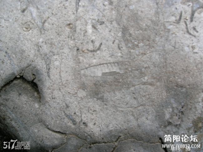 5亿年前的海洋生物化石2.jpg