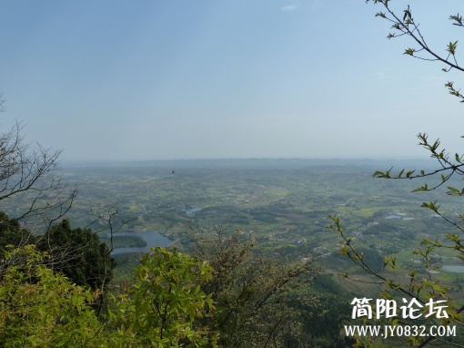 P1090824.jpg
