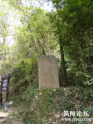 P1090843.jpg