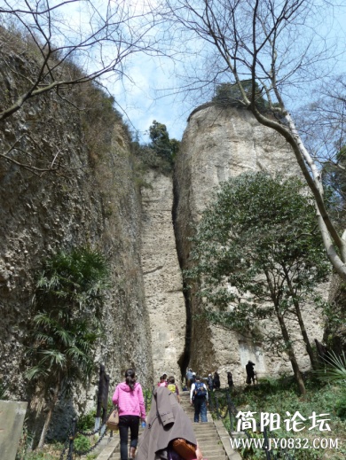 P1090846.jpg