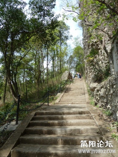 P1090854.jpg