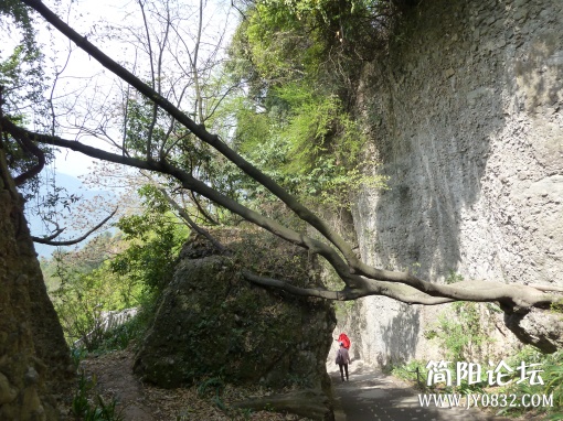 P1090863.jpg