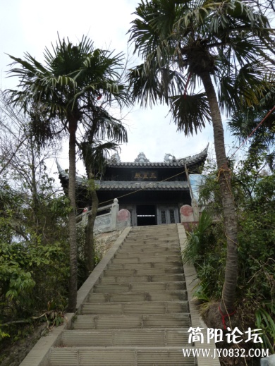 P1090917.jpg