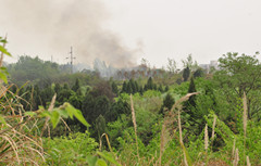 DSC_0989_副本.jpg
