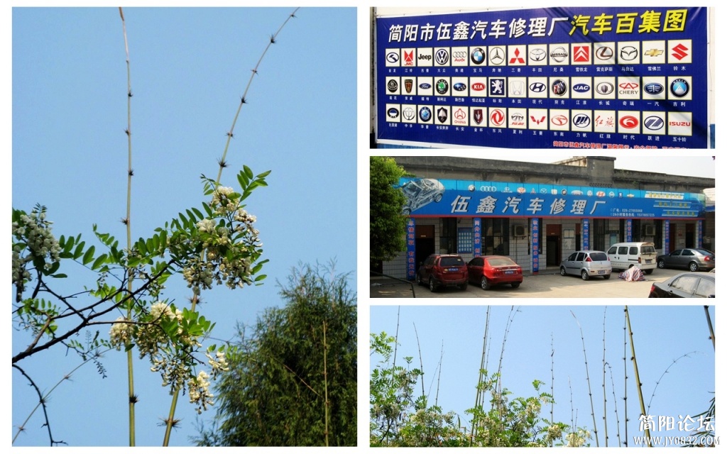 东溪影像7.jpg