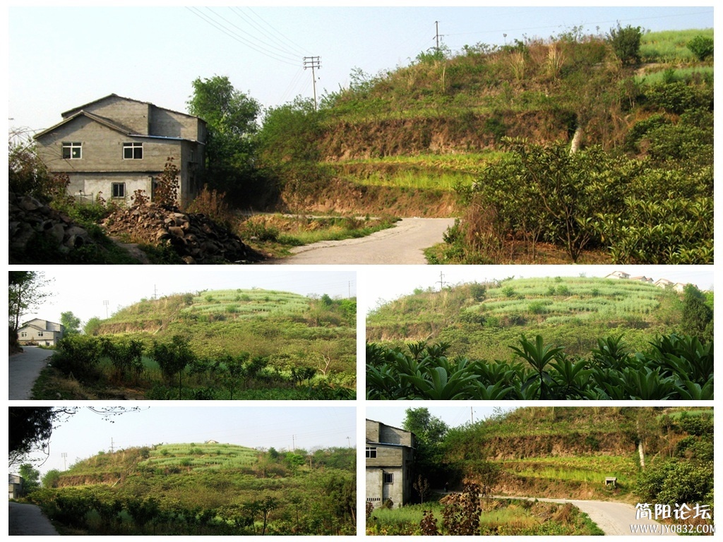 东溪影像1.jpg