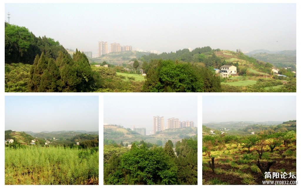 东溪影像5.jpg