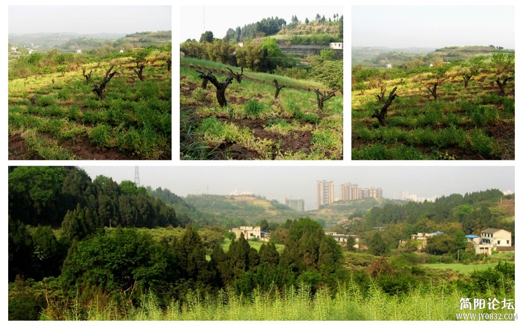 东溪影像6.jpg