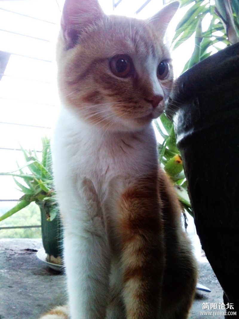 CAM00225.jpg
