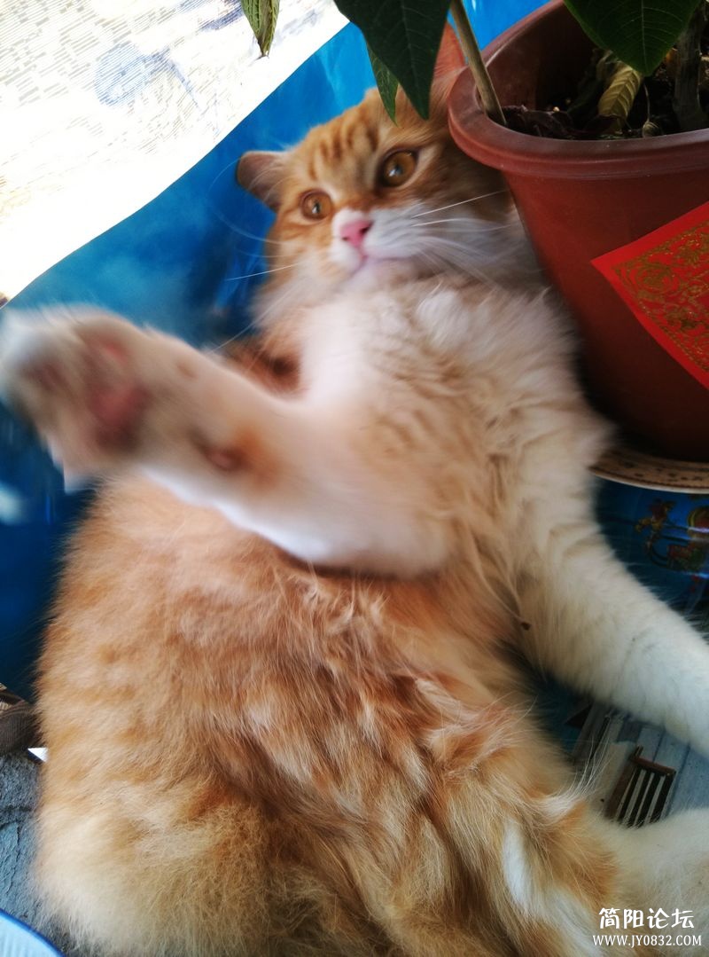 IMG20130310155855363.jpg