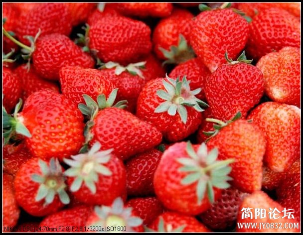 草莓1 副本.jpg