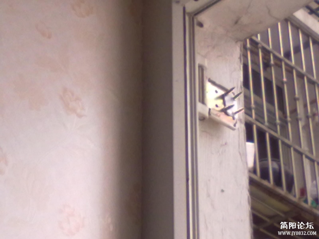 20130405178.jpg