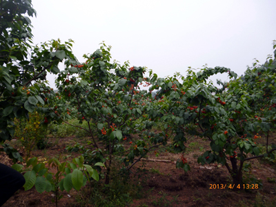 P1020910.jpg