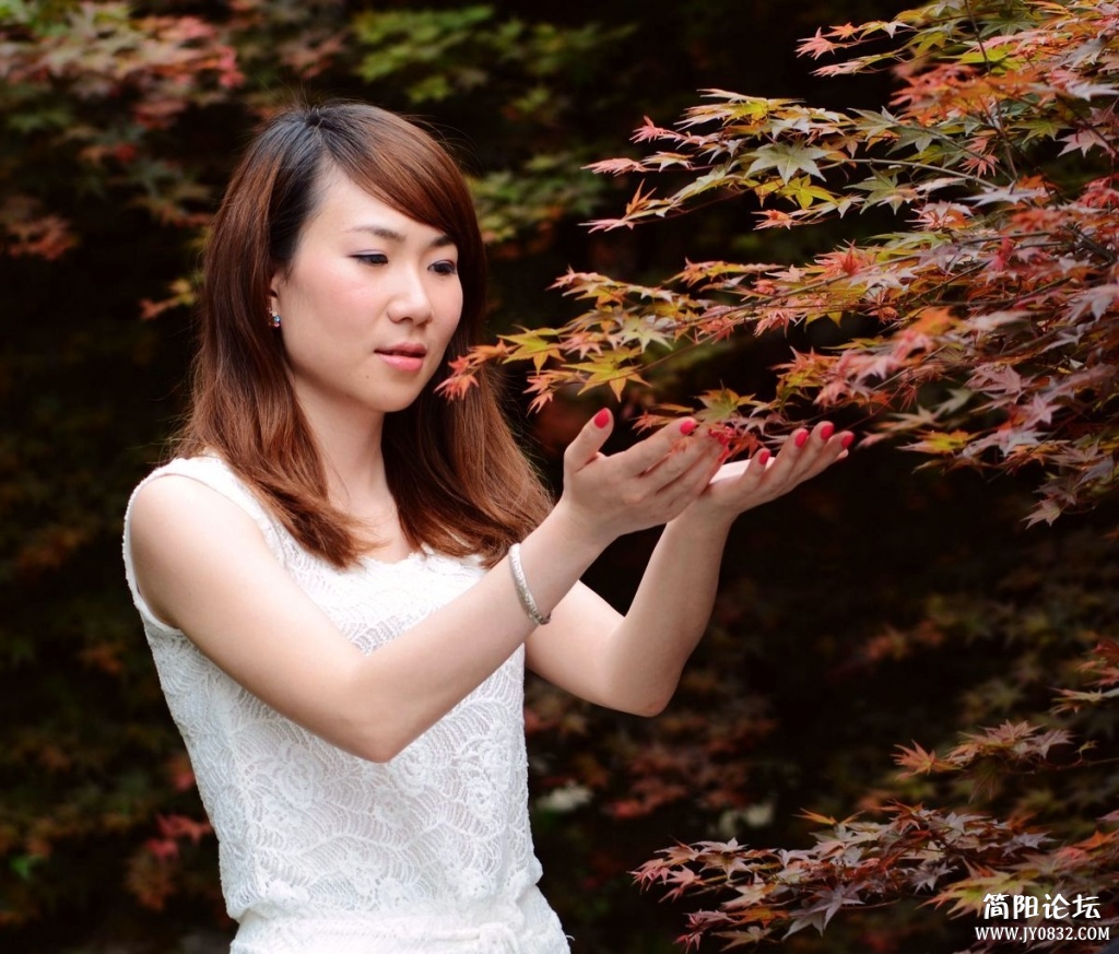 照片 964.jpg