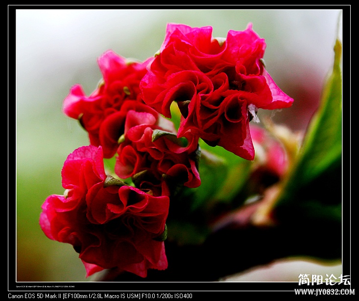 nEO_IMG_IMG_1978.jpg