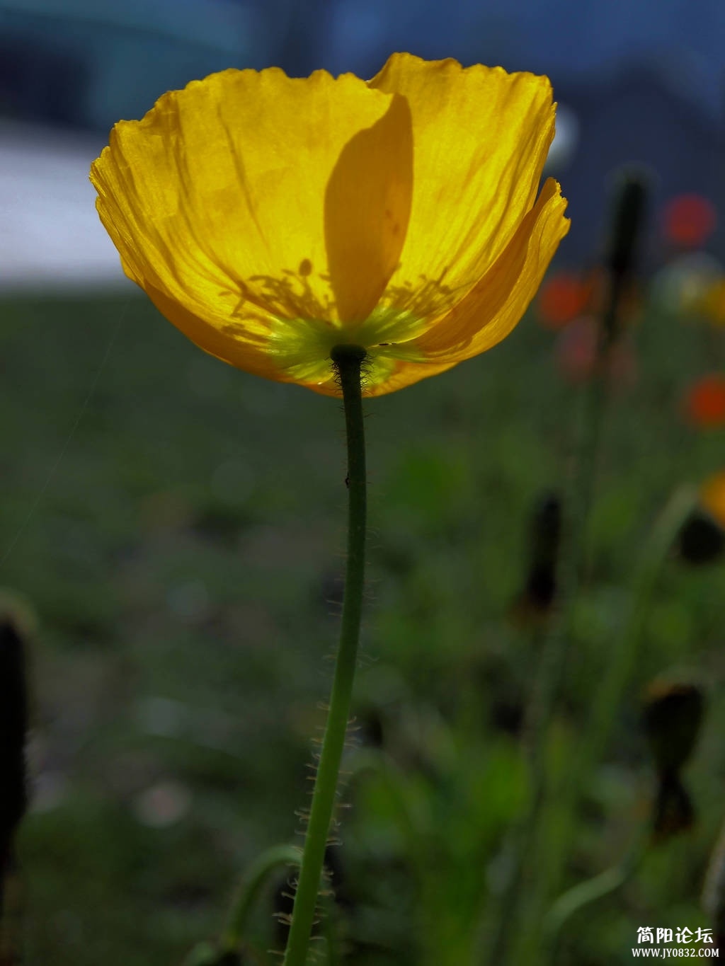 P4144400.jpg