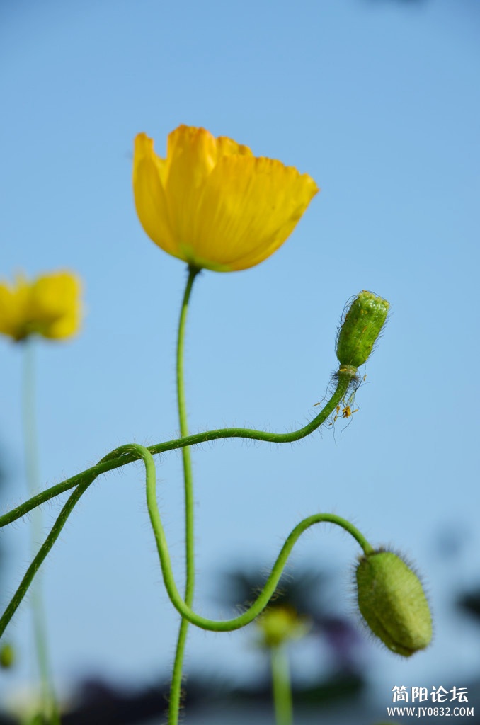 20130414拍摄于雄州广场