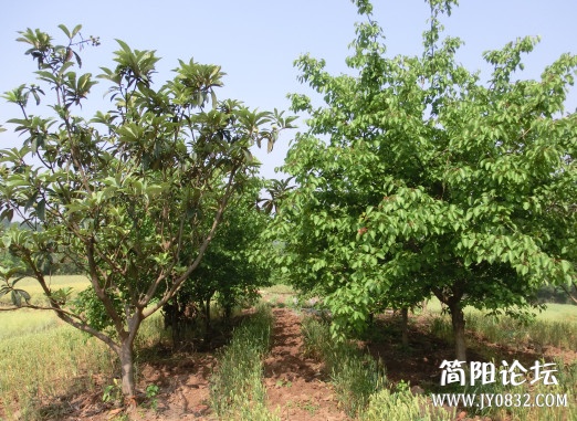 CIMG4748_副本.jpg