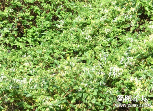 CIMG4773_副本.jpg