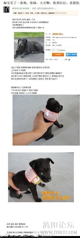 a1ec08fa513d26974f86263354fbb2fb4316d802_副本.jpg