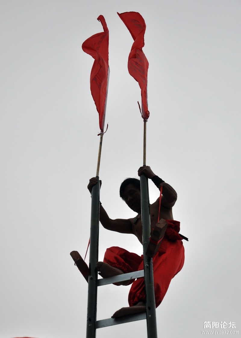 DSC_0462.jpg