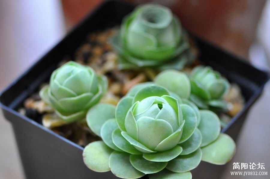 照片 523.jpg