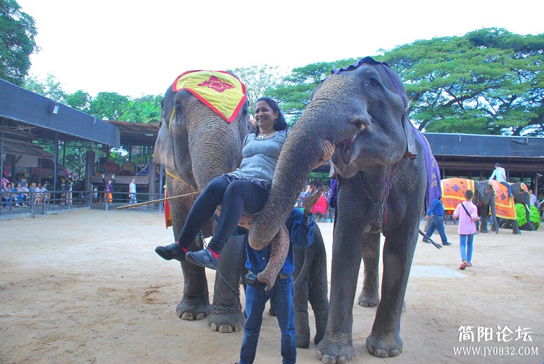 DSC_5521.jpg