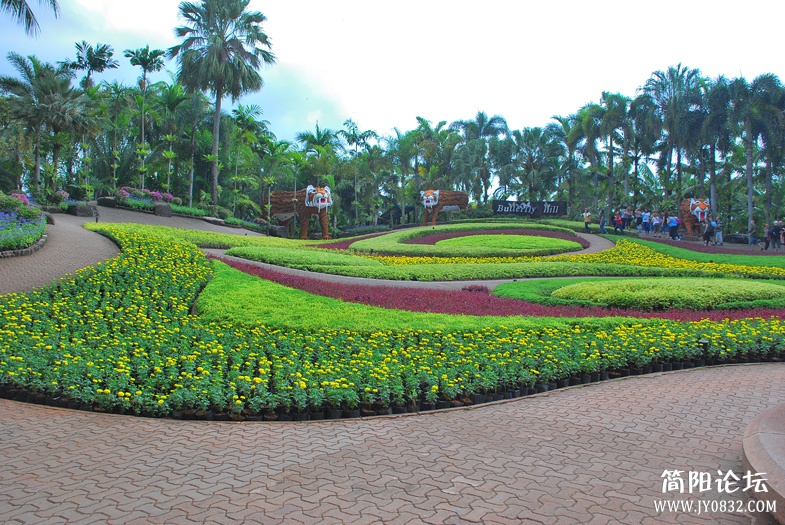 DSC_5539.jpg