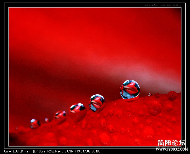 nEO_IMG_IMG_4252.jpg